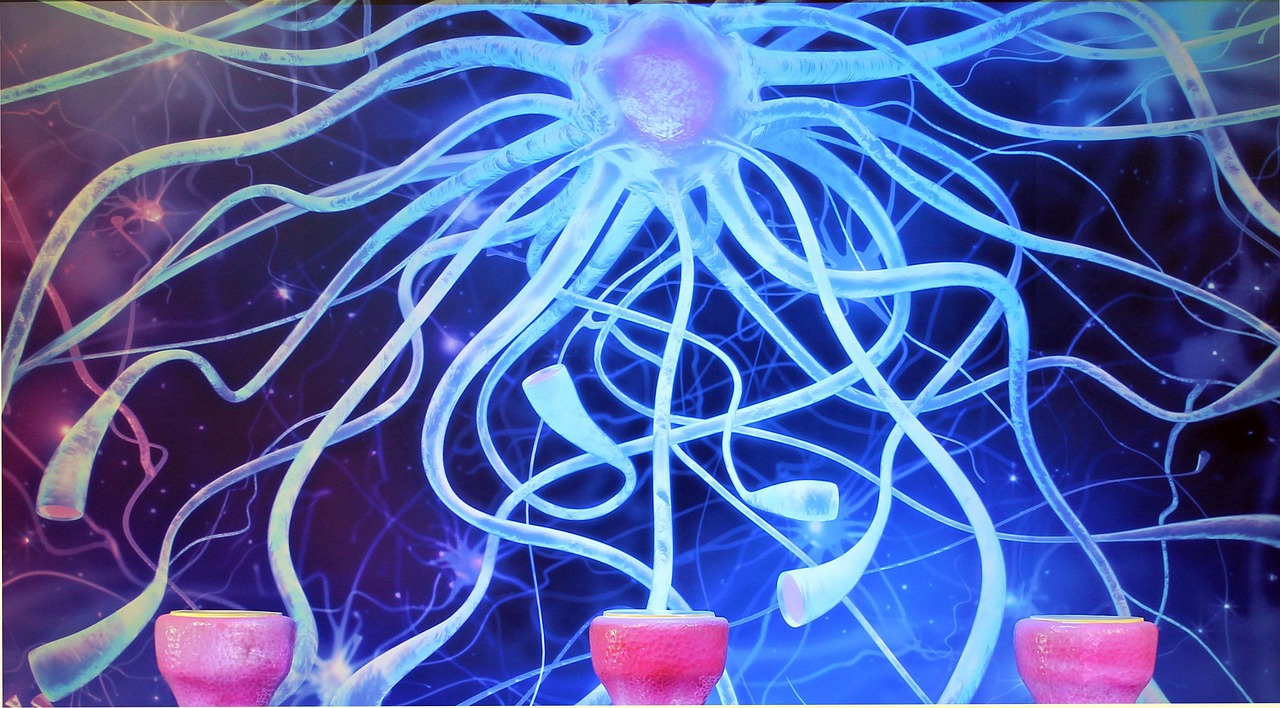 Cómo aprenden las redes neuronales artificiales