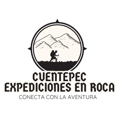 Logo partner